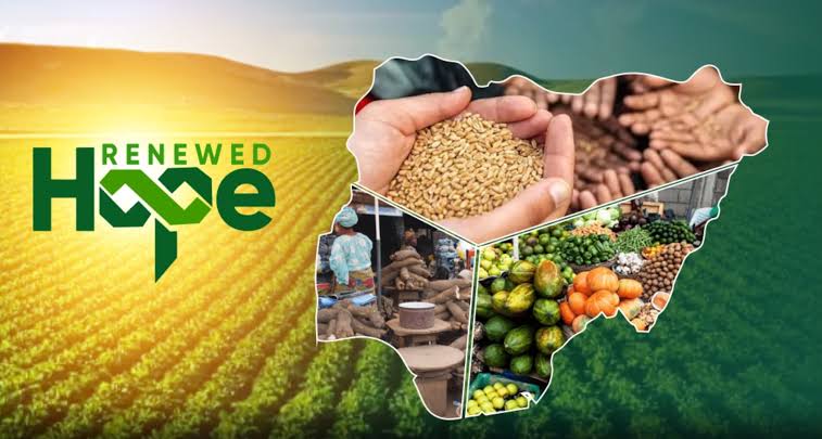 Are The Hopes of Nigerians Renewed?